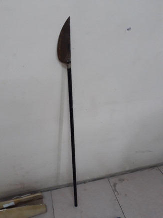 Cây phóng lợn, Đặc điểm, công dụng và những vấn đề pháp lý cần lưu ý