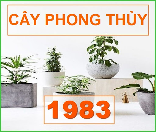 Tuổi quý hợi trồng cây gì hợp phong thủy - gợi Ý những loại cây mang lại may mắn và tài lộc